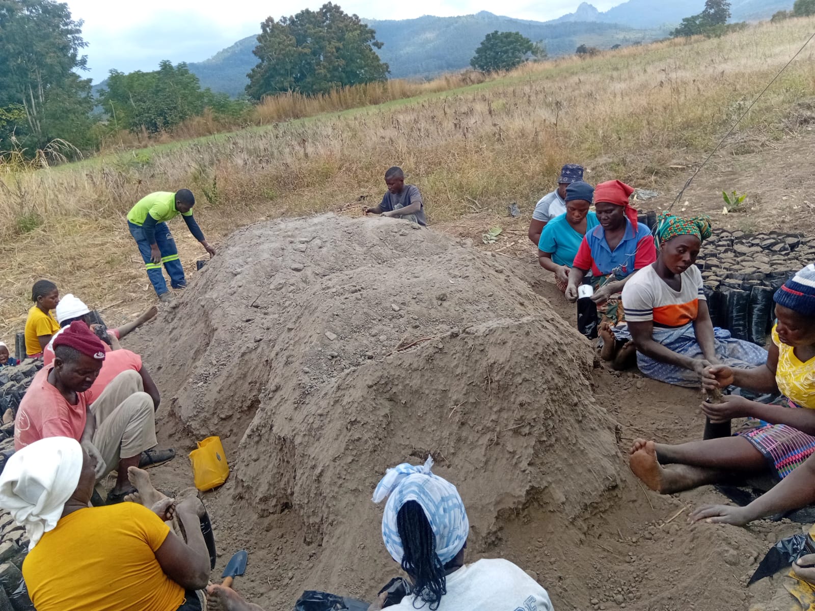 Enchimento das Bolsas
